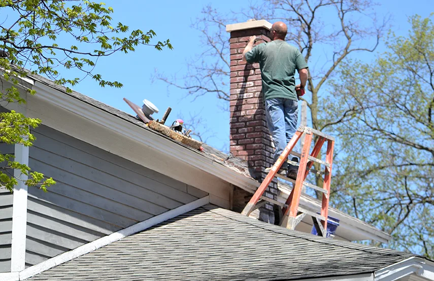 Chimney & Fireplace Inspections Services in Austin, MN